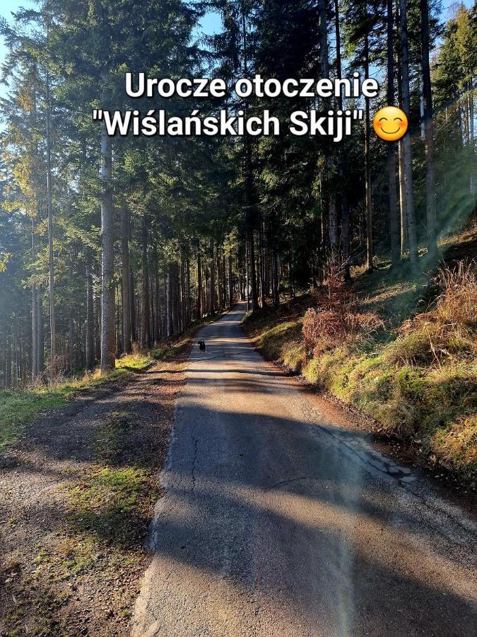 Apartament Wislanskie Skije エクステリア 写真